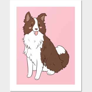 Cute border collie Posters and Art